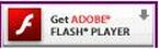 flash player