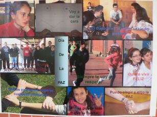 2012 paz 14