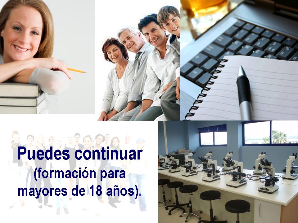 puedes continuar
