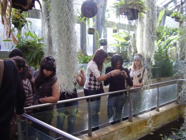 botanico3