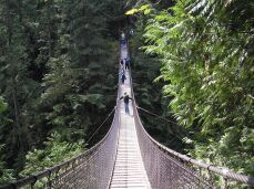los bosques